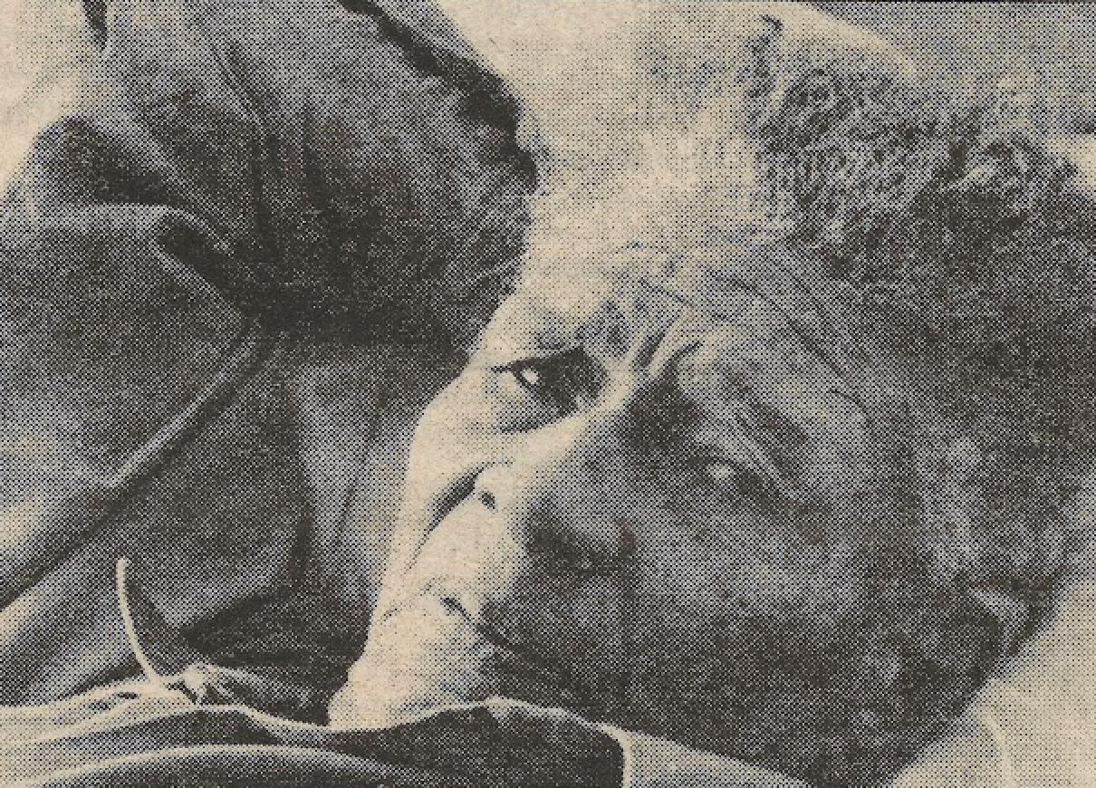 Eddie Bowles